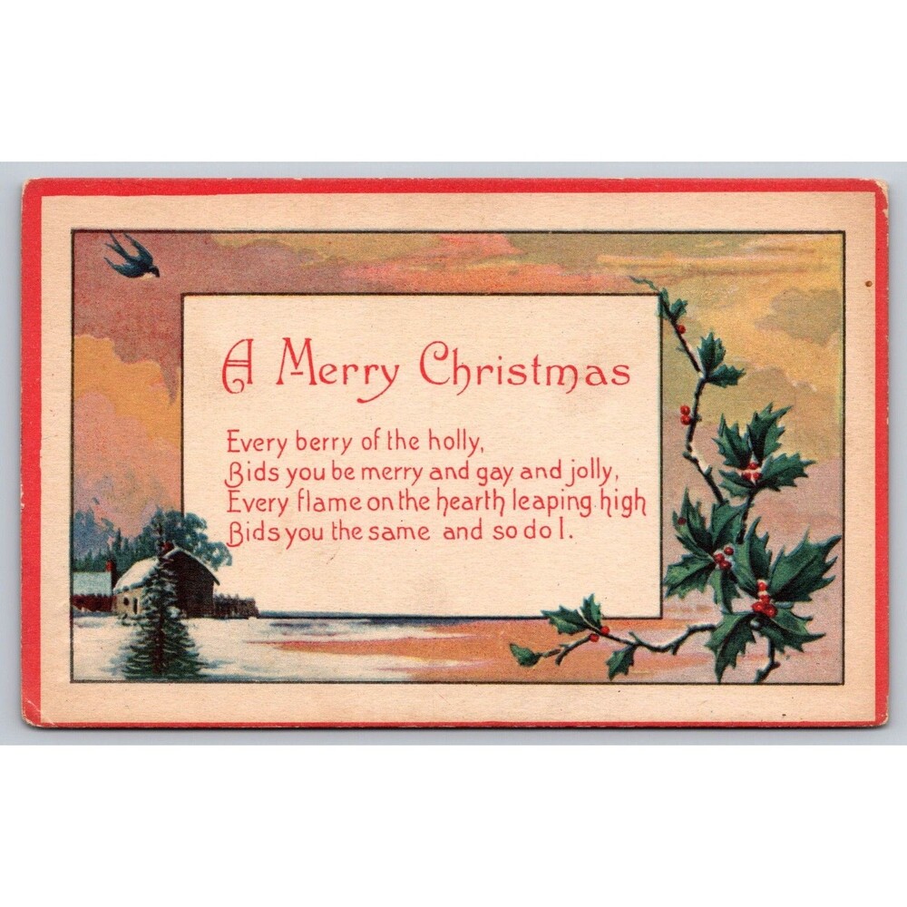 Postcard Merry Christmas Holly Bluebird 1917 Message to Son from Mother Unposted